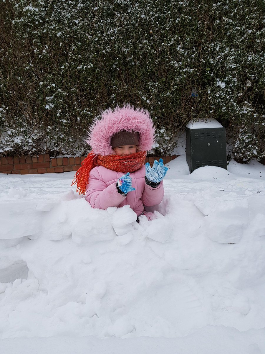 Freyja playing in the snow ❤ @romillypsrecep