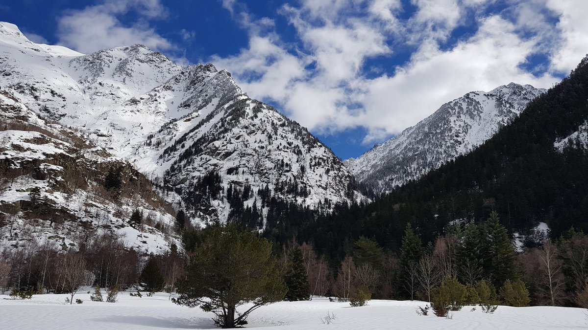 pnaltpirineu's tweet photo. #Boavi, un dels indrets més emblemàtics del @pnaltpirineu i llar de l'#osbru dels #Pirineus, presentava avui aquest fantàstic aspecte ben carregat de neu. https://t.co/KtzyBfIhPb