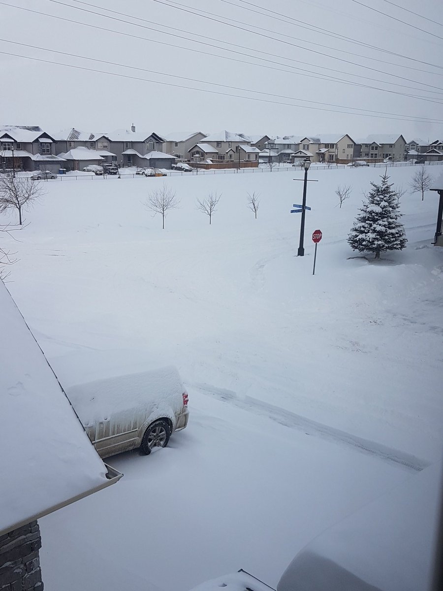 AquariumGuideca's tweet image. Happy Saturday friends. This is what is happening in our area