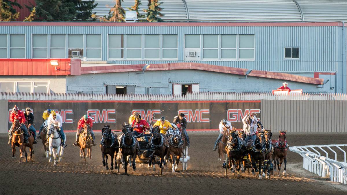 CSchuckwagons's tweet photo. Want to be in the crowd cheering on your favourite Chuckwagon driver at #Stampede2018? Buy your 2 for $99 Evening Show tickets- on sale this weekend only! https://t.co/qLGggcaEEo https://t.co/dzObMDS2mz