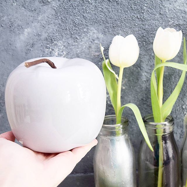 DailyDreamery's tweet photo. CHALLENGE DAY 3 HELLO SPRING .

Ich wünsche dir ein zauberhaftes Wochenende und zum Thema “Hallo Frühling“ denke ich auch sofort an Tulpen🌷🌷🌷 .

A happy weekend for you😊 Tulips always make me think of spring🌷🌷🌷. .

@lindaloves.de .

#dailydreamer… https://t.co/f1bJr8TWzu https://t.co/dJh0HdB562