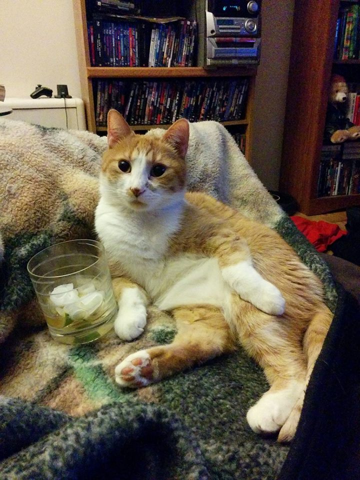 Listening to the first mixes of the new record in style.....a few tweaks and we'll be there! #classy #metal #rock