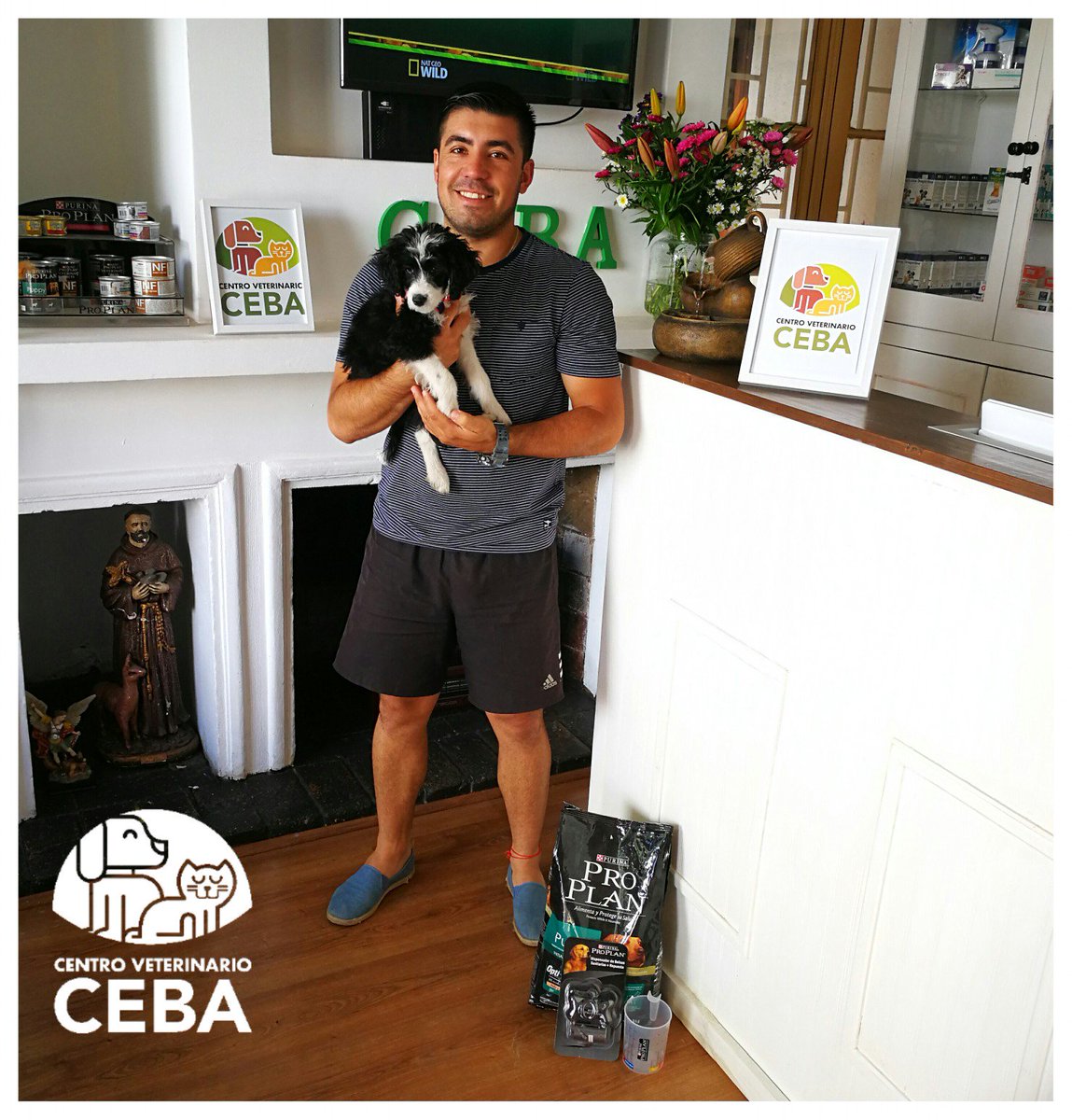 VetCeba's tweet photo. Mayra vino con su Papi Mauricio a su Vacuna!!! Y por supuesto vio nuestra promoción de alimento + regalos y vino por ellos!!
#CentroVeterinarioCeba #PromoMarzo https://t.co/kT7mle8iTl