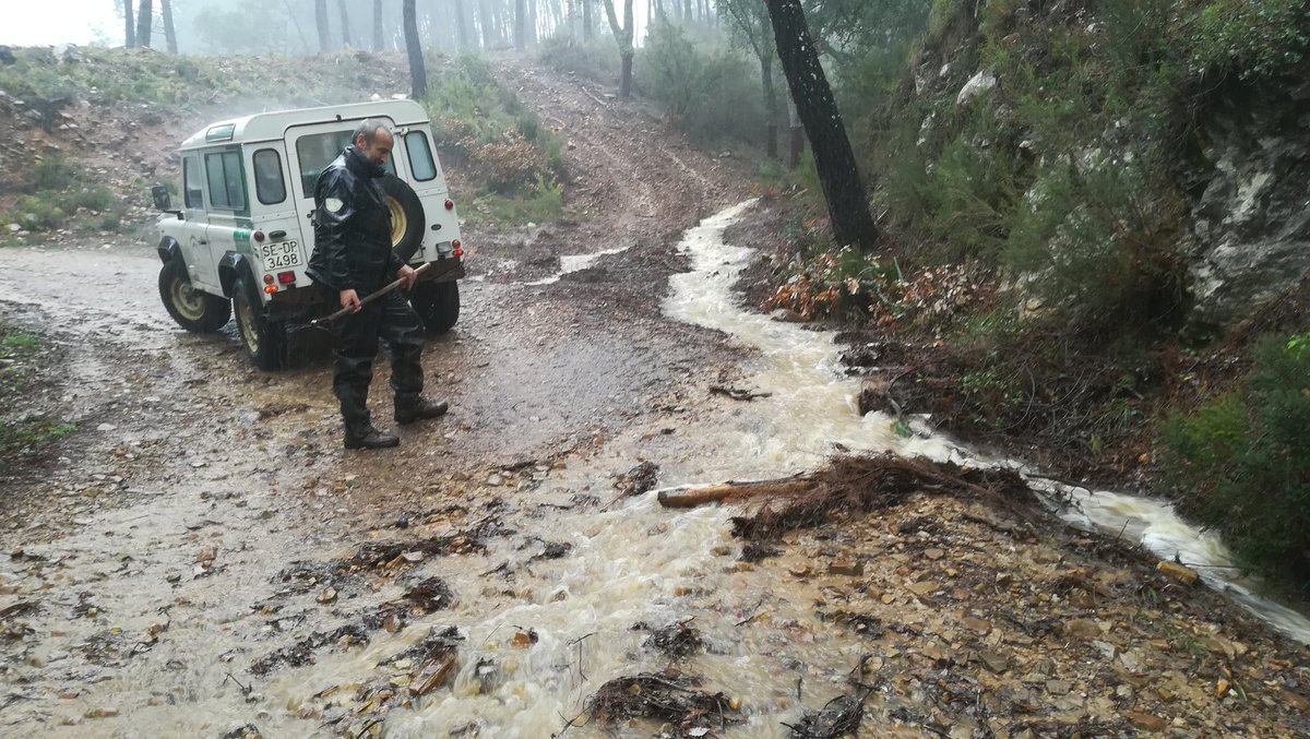 Juambosque's tweet photo. @AAMM_And Desde el corazón del temporal los AMAs previenen daños mayores en las vias forestales https://t.co/g8gqjpkaN7