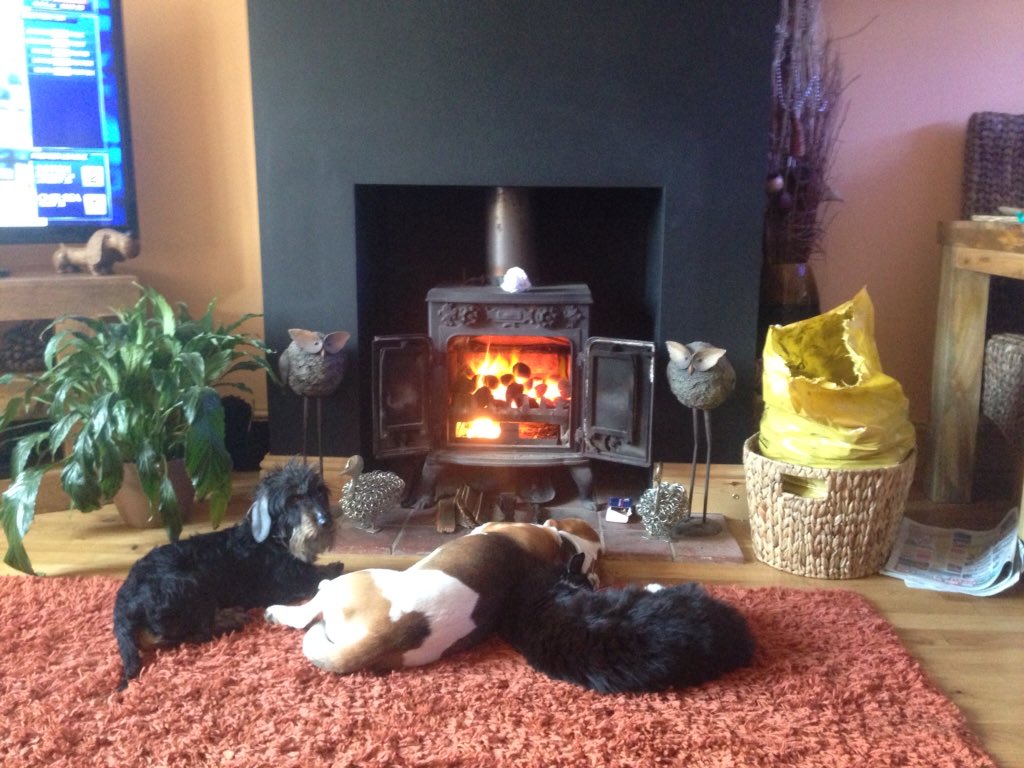 clive1jarvis's tweet photo. The furry friends are happy #creaturecomforts #stilltocold #beagle #minisausage #mogbog https://t.co/yF3gXuJYTh