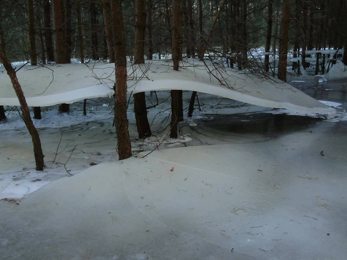 iamcais's tweet image. Když v zatopeném lese zamrzne hladina, pak voda opadne a zamrzne znovu…