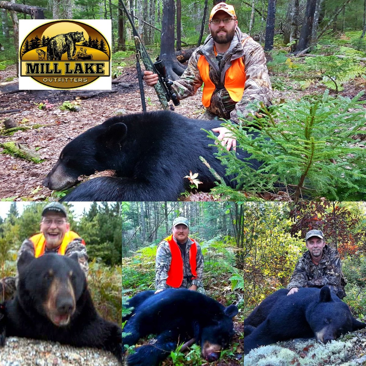 huntfishguide's tweet photo. backcountry canoe/tent hunt for blackbear in Nova Scotia, Canada. Zero hunting pressure on remote bears. One opening only - email milllakeoutfitters@gmail.com for details #bearhunting #backcountry #wilderness #remotehunt #hunting #biggamehunting #huntcanada #huntingoutfitter https://t.co/EZiiQjBDc3