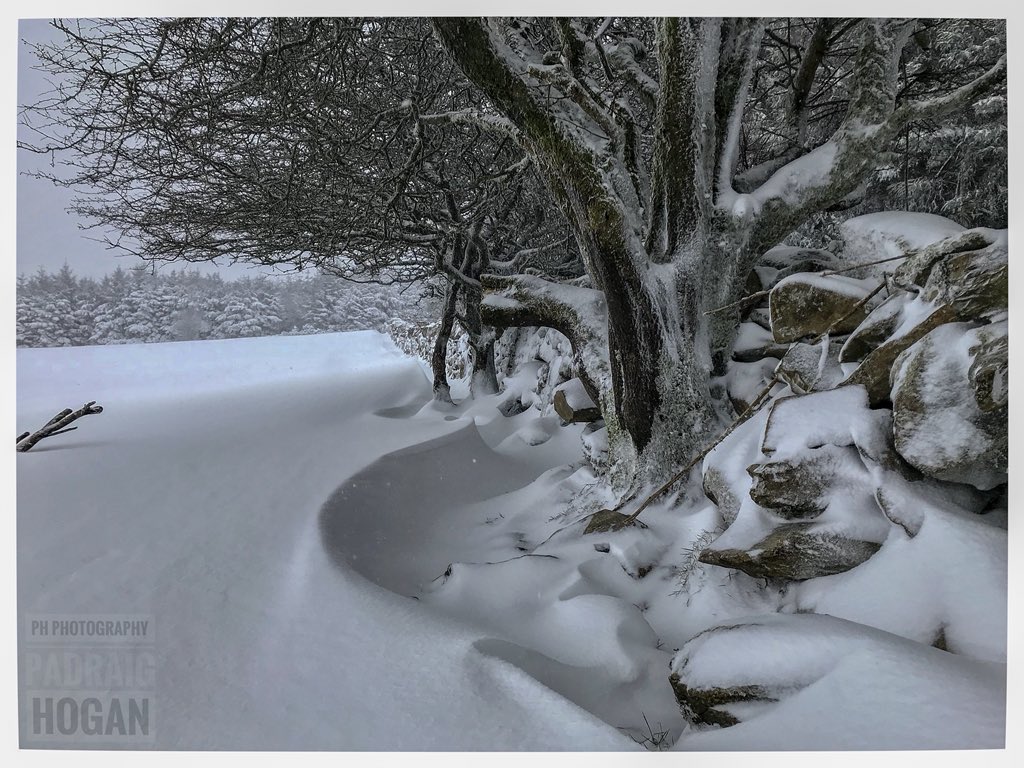 padraighogan's tweet photo. Drifting snow high up in #Carrigatogher #arramountains #tipperary #ireland #snow #snowdrift #stonewall #whitethorne #iphoneography #iphone7plus https://t.co/HqHODBBXrr
