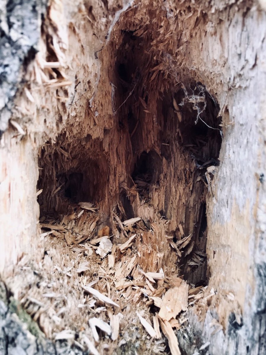 Emily Braggins tweet media