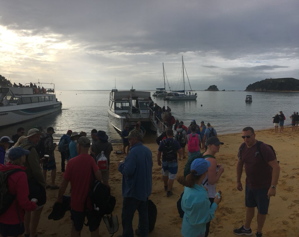 timdwelsh's tweet photo. #iftaNZ IFTA free day kayaking begins #abeltasman https://t.co/zZ9LrnNqkq