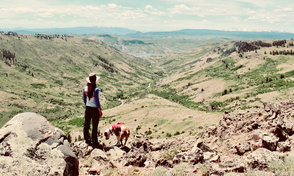 ashtlee's tweet photo. Its #303day with my most #Colorado picture 🤙 https://t.co/WOH9Su5zAL