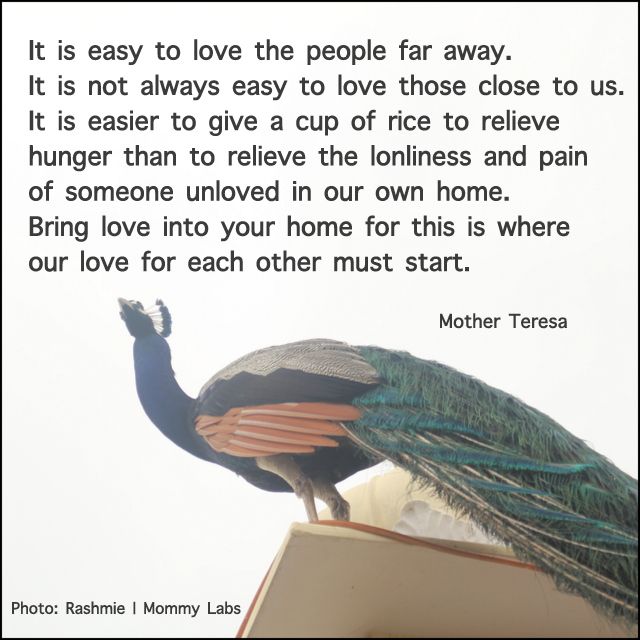 mar_de_sirena's tweet photo. @somnath456 @goodtre @halpern_claude @AkhtarKhushboo1 @NUAZ1LGlhfit3Gp @RosaTrunk @Marasim99 @Tinkerb67353068 @1Ma42 @Hettyfrenken @robtropper @rosmarie1291 @TBGTNT @MAJIX @mariezr04 @DOXAgr @olaerciosilva @Silau25 @m_Carrillo210 @5ha5er @ERNESTZorro @dilruba_lees @Boyer_Rene @shellieblum @sminaev2015 @louzival2011 @aLAURA2019 @Stallion_Team @BrettCateley @AintitMarvelous @DLees28 @GQ45 @deargoya_goya @Stallion_Team2 @StefanSubotic91 @VelvetSkye @DeLouzival @willybronca777 @aliciagarciaga6 @perryd43 @thylu11 @Debackerchrist @Marisol2224 @Devrimakyurt2 @deborahramaglia @AdryMMP @KaeDalious @llkaline #TeamSom❤️#GraTiTuDe
Querido #Som❤️Mar de Gracias!!
🌎🌍🌏#WorldsOfLove🌎🌍🌏
❤️#Kindness IS #Love In #AcTion.❤️
#LoveIsAction❤️#LoveIsPeace
<#AttitudeNOTOmission❤️#ActionNOTIntention>
<#LoveIsPlural:❤️#ForFree❤️#ForALL>
#SeaOfLove❤️Bella #InDia🇮🇳
🧜♀️ https://t.co/VHVkxt8NQB