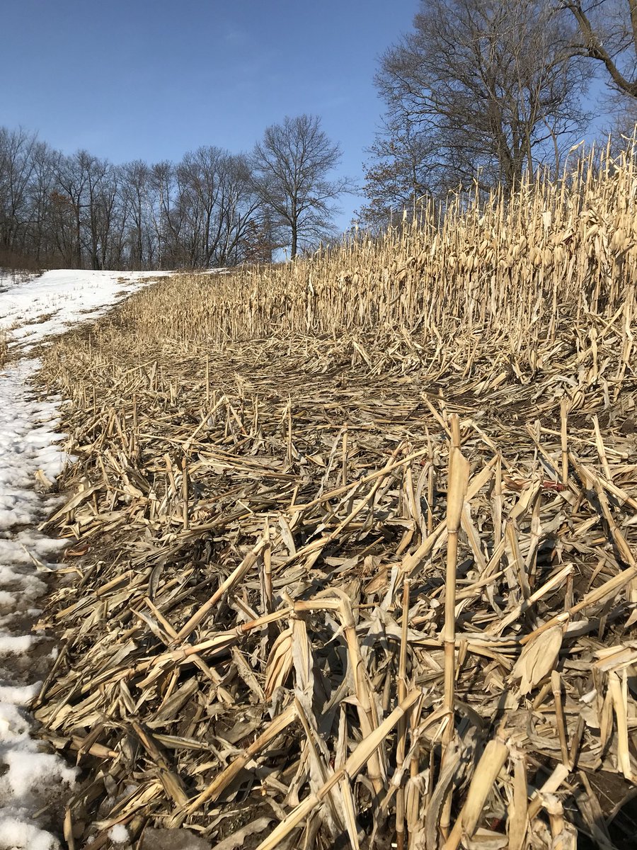 BCODBoys's tweet photo. The true eye test for shed hunters 👀 https://t.co/lURlMLemMR