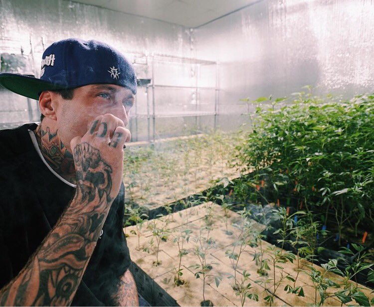 💨💨💨🍁🌿🌿🌿