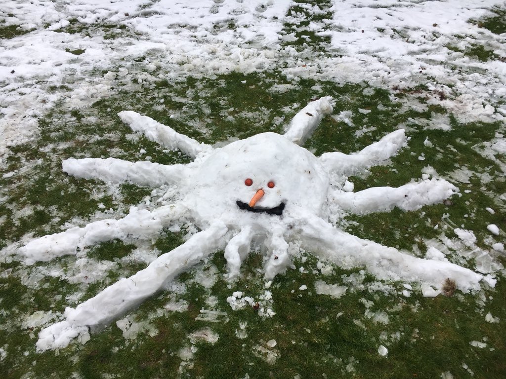 Today we made a snow....SPIDER! Makes a change I guess 😂 #snowman #snowspider