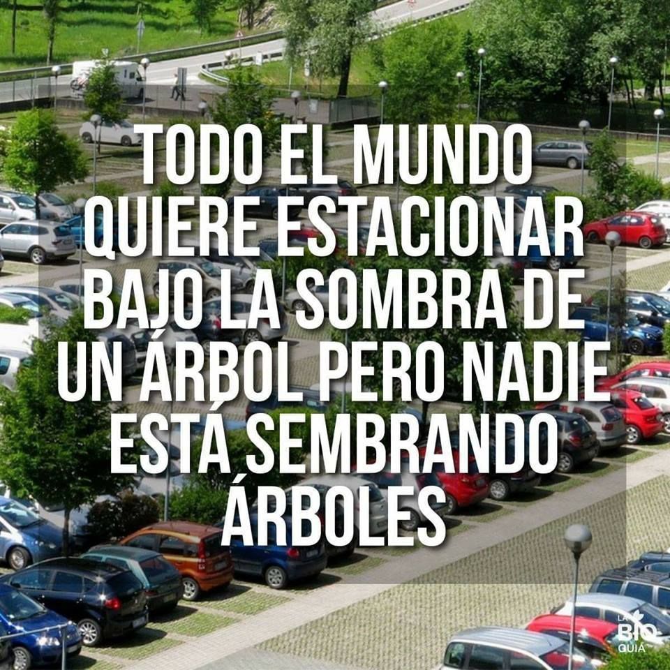 Ecogranjero tweet picture