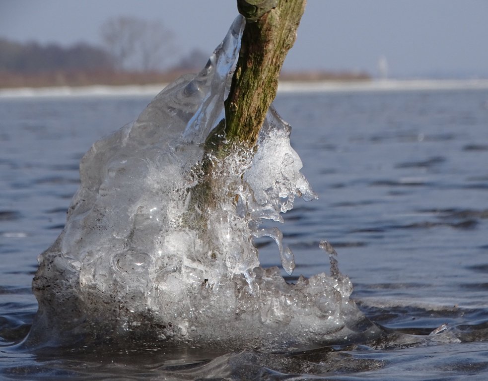 Paarsepracht's tweet photo. #IJzig mooi https://t.co/r4IQVUZNQi