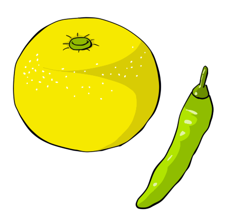 Chili Yuzuさんのイラスト一覧 Chili Yuzuさんのイラスト一覧