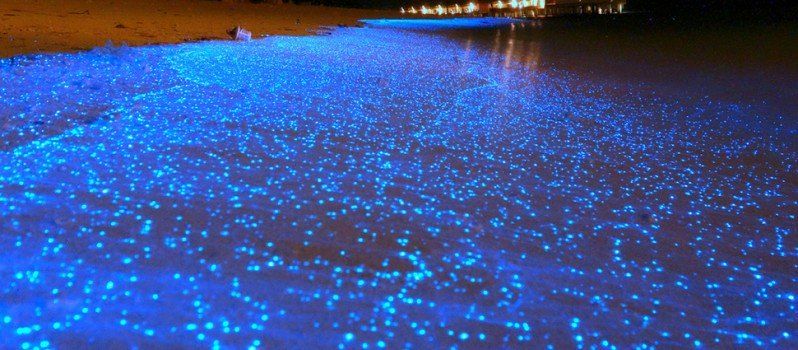 ConsciousPanda_'s tweet photo. 21 Magical Places You Won't Believe Actually Exist https://t.co/c56nRlw9GC #travel #nature #beautiful #explore https://t.co/lP9IHK3Wfk