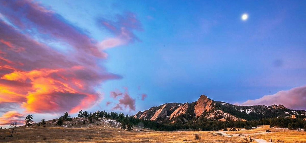 COLifestyle's tweet photo. Best day out of the whole year! Happy #303day my Colorado humans ❤️💙💛 https://t.co/7zJ8MlBxrw