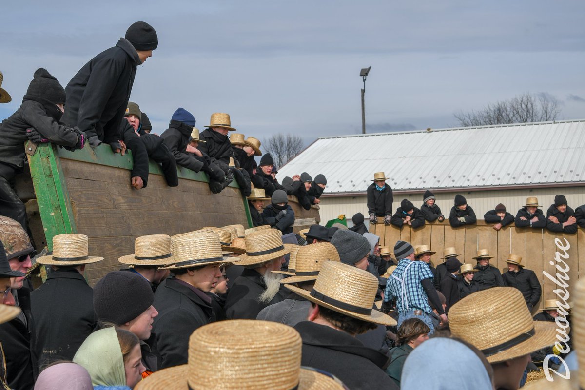 Bob_Devonshire's tweet photo. Amish boys playing corner ball at Bart Fire Co. #amish #cornerball #games #mudsale #lancaster #alwayslancaster #onlyinlancaster #bart #barttownship #bartfire #nikon #d500 #sport #sports #sportsphotography #devonshire #photo5imagery https://t.co/6da7631k8C
