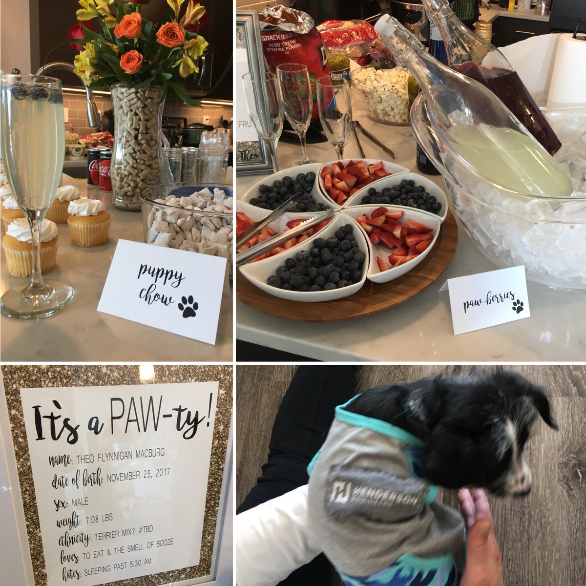 MackyNumberA's tweet photo. So our friends threw a Puppy Shower for our new pup Theo. 🐶 https://t.co/3De8X1EWwj