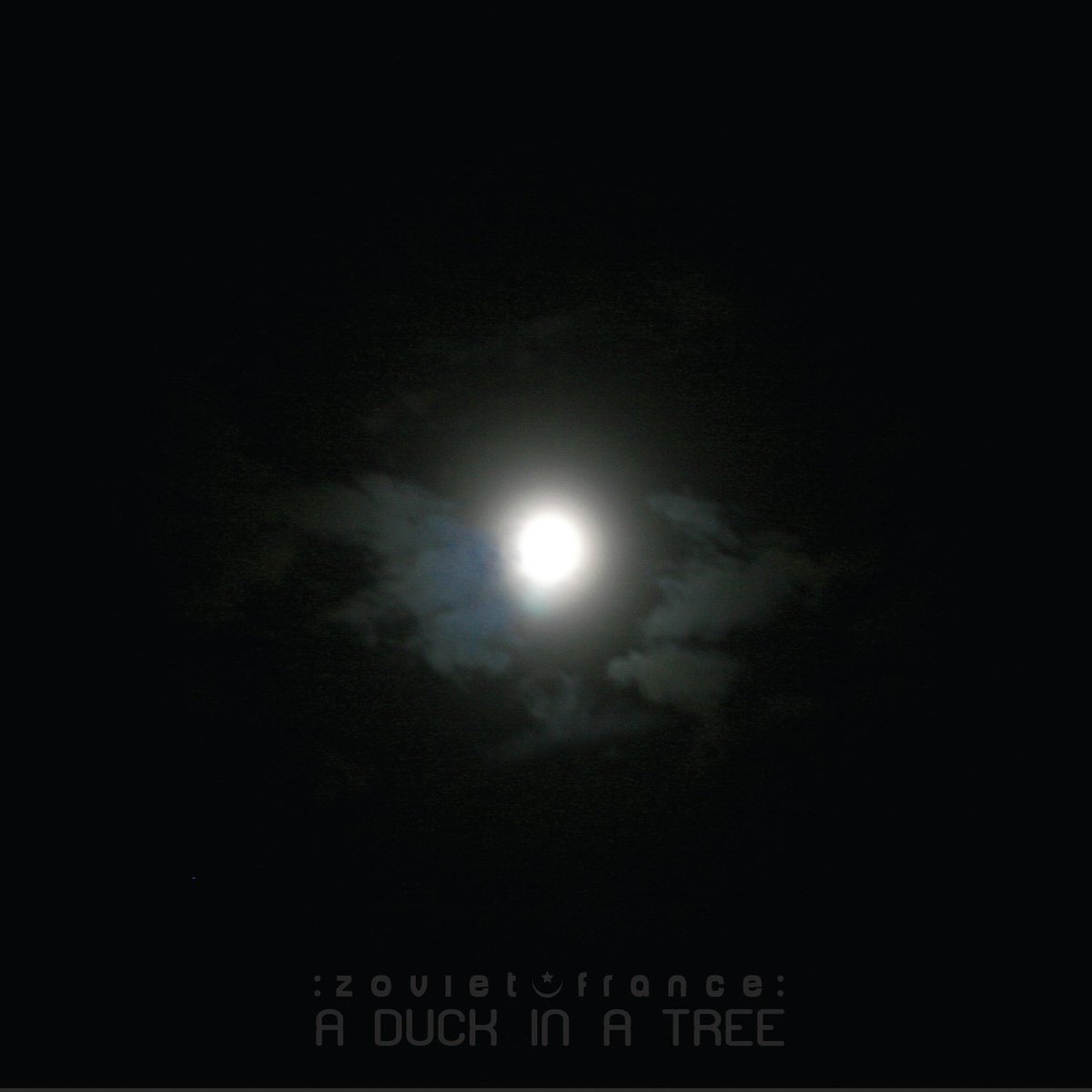 zoviet_france's tweet image. Starting in 5 minutes on FM and DAB in London, and online: the new edition of A Duck in a Tree, the :zoviet*france: radio show, on @ResonanceFM player.resonancefm.com