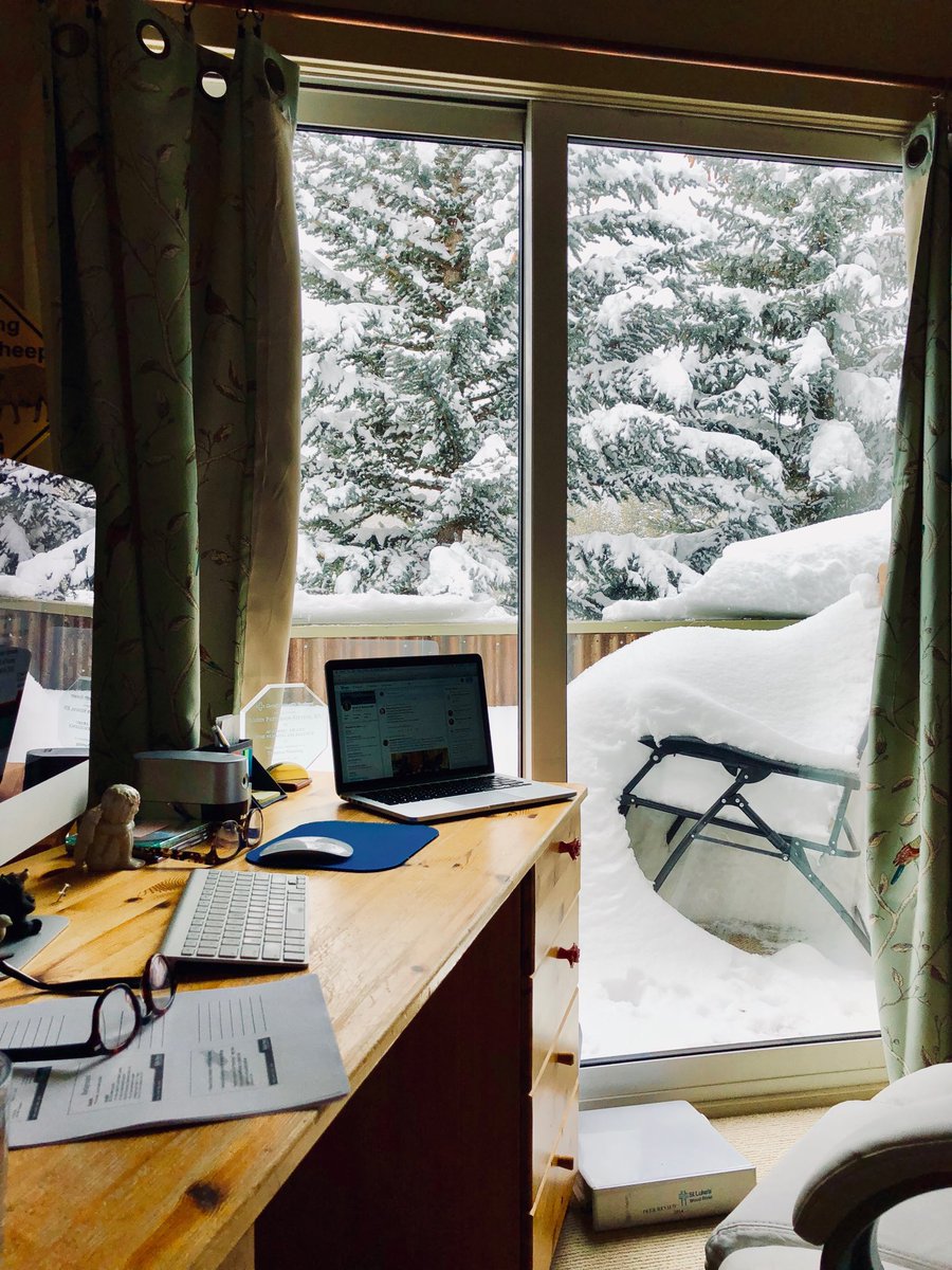 NursePub's tweet photo. A desk with a view...what is yours? #phdchat #phddesk https://t.co/H0L0i9YOZ1
