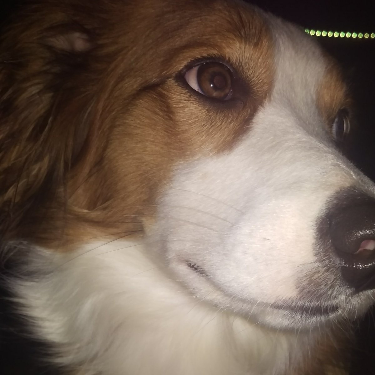#NeuesProfilfoto