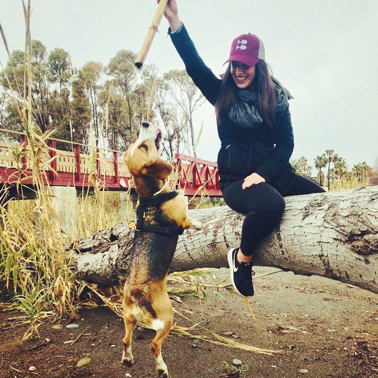 Respetmalaga's tweet photo. ROCKY 🐶❤️ #newconcepts #newvalues #berespet #costadelsol #estepona #marbella #Malaga #beechfield #rocky 
https://t.co/ElbHhNRHIF https://t.co/MgPZtRt30f