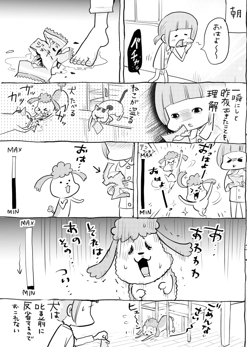 叱るタイミングは難しい？叱る前に反省する犬と一日中隠れる猫ｗｗｗ
