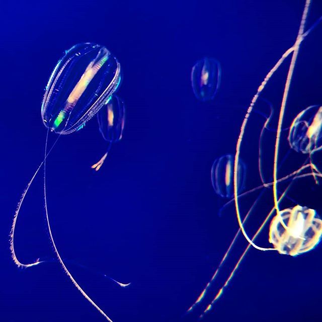 Eric Parren tweet media