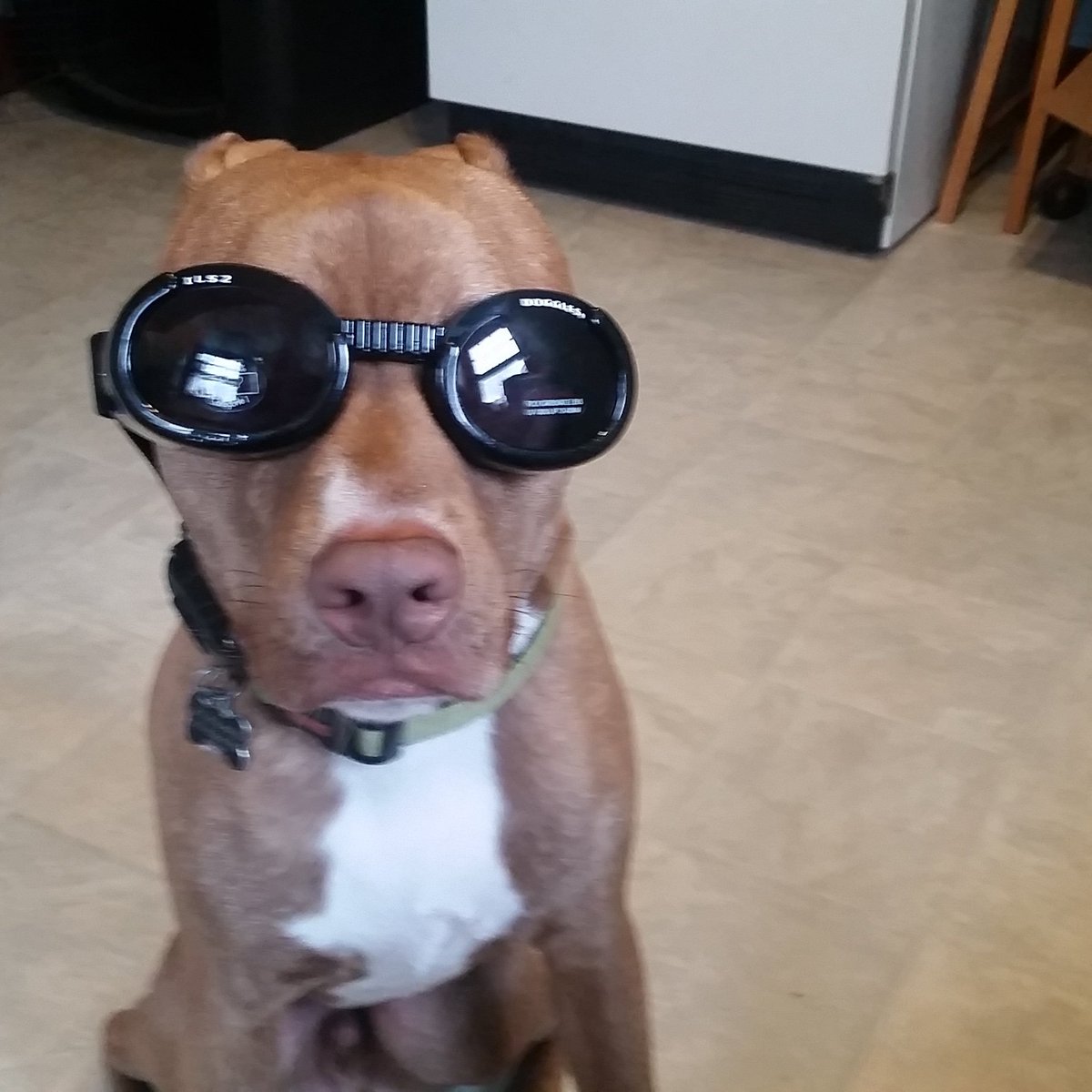 Tonight at George Ranks!