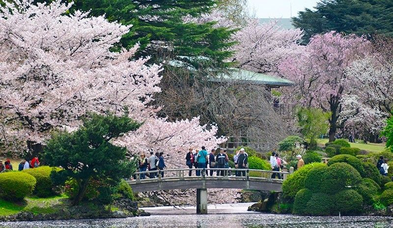 planetyze's tweet photo. Top 10 Places to Enjoy Sakura in Japan | Planetyze

Spring is here soon. It means it's sakura season. Find out what are the top 10 places to enjoy Sakura in Japan. 

Click here for more--> https://t.co/GBYQ5BsY8G https://t.co/QhzkKvYv38