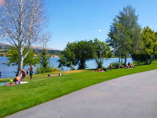 WenatcheeLoop's tweet photo. Still a few months away from looking like this out on the #AppleCapitalLoopTrail, but it's getting closer! #Wenatchee #EastWenatchee #ColumbiaRiver #park #trail #path #walking #looptrail #urbantrail https://t.co/iKHcNpVgUQ https://t.co/DcOmUA8PEN