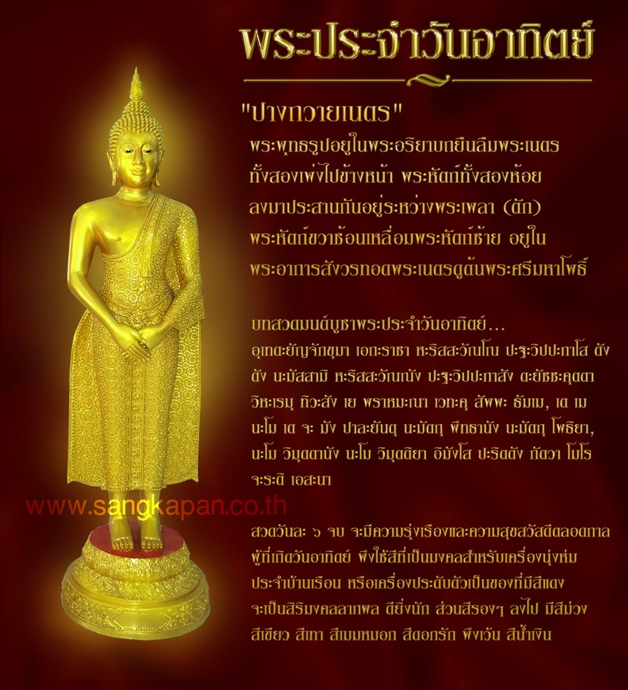 My Image 3