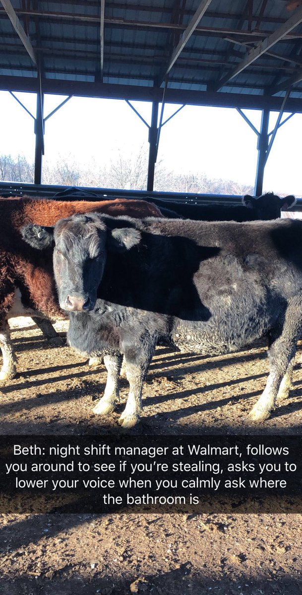 Ethan__Howe's tweet photo. If cows were people part:1 https://t.co/QHSpRkuYPc