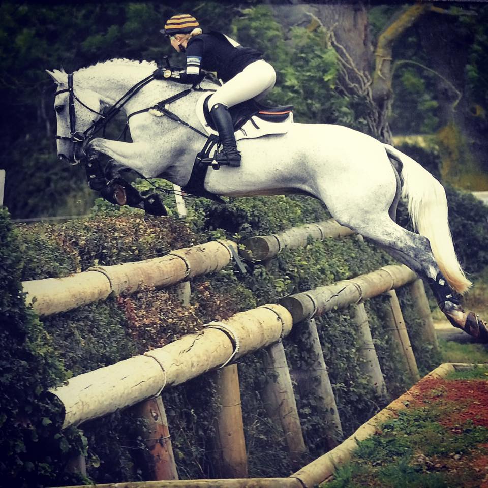 EquineElite1's tweet photo. NEW! Pippa Dixon Eventing has a vacancy for a full-time head groom. Full details and to apply here - https://t.co/ml9YiF3Iqn https://t.co/xIDFN0l7oB