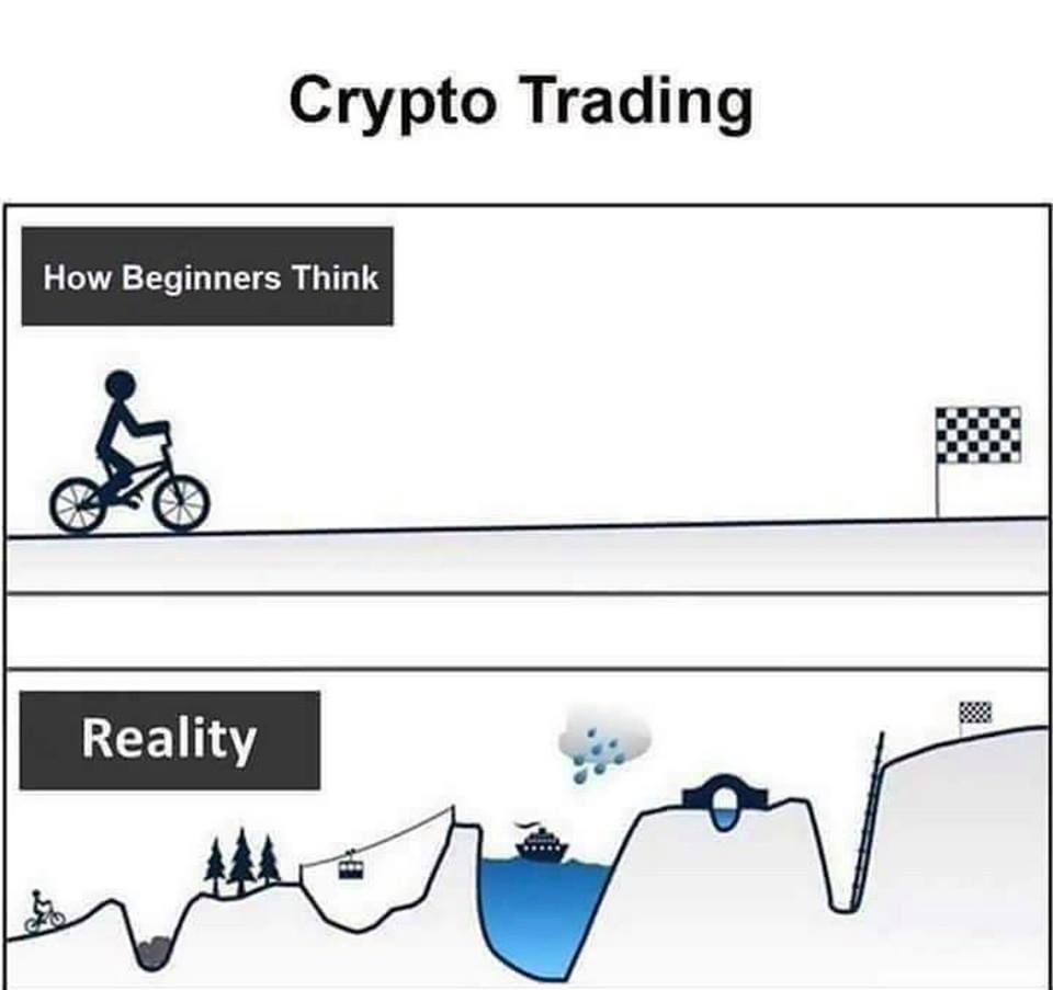 Cryptowatch19's tweet photo. https://t.co/xMX30KHyMo