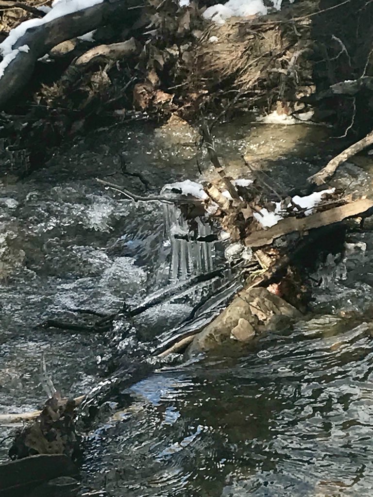 stmkrm's tweet photo. Always fun to find a new place to hike...a plus when it’s got beautiful scenery! @LakeMetroparks #hellhollow https://t.co/G34QzkFQef