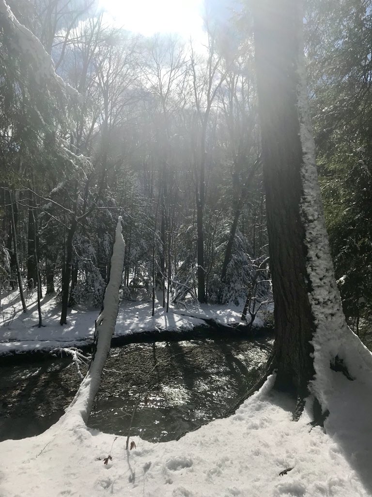 stmkrm's tweet photo. Always fun to find a new place to hike...a plus when it’s got beautiful scenery! @LakeMetroparks #hellhollow https://t.co/G34QzkFQef