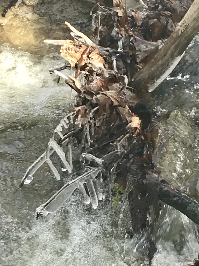 stmkrm's tweet photo. Always fun to find a new place to hike...a plus when it’s got beautiful scenery! @LakeMetroparks #hellhollow https://t.co/G34QzkFQef