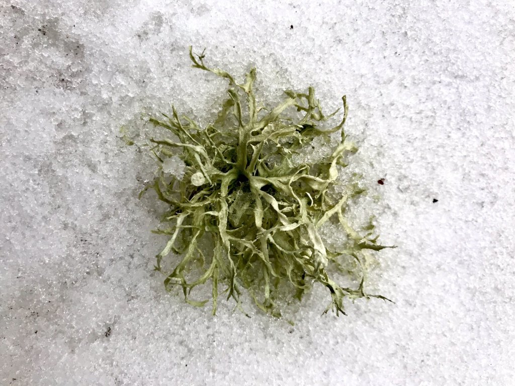 Emily Braggins tweet media