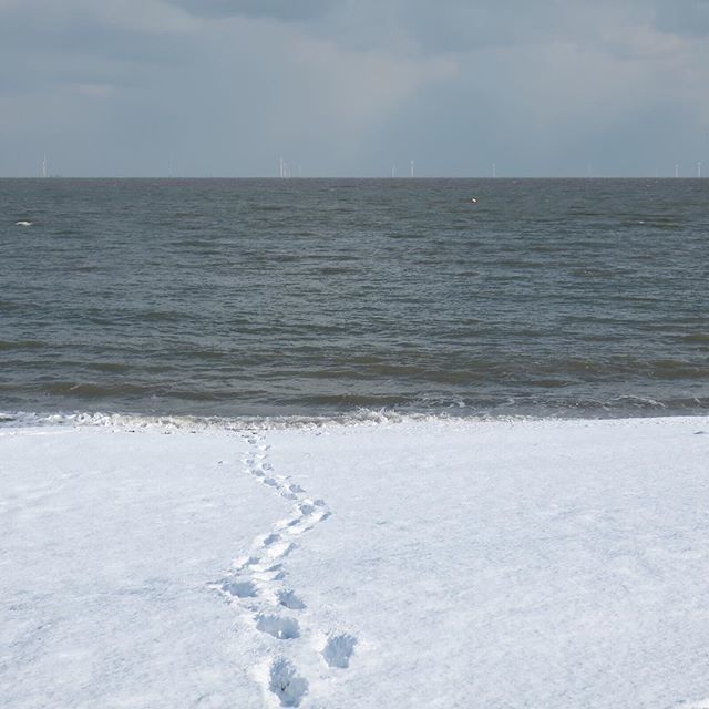 PlanetBSocial's tweet photo. Wow, someone was brave...#WinterByTheSea •
•
•
•
•
#FootprintsInTheSnow 
#meetmethiswinter #aseasonalshift #mybritainwithlove #tinytinymoments #simpleandstill #instaphoto📷 #instaphotograph #instaphotography📷 #MyCameraCapture #MyHappyViews #beastf… https://t.co/lbIzM0xKRh https://t.co/oQmkRBwG3I