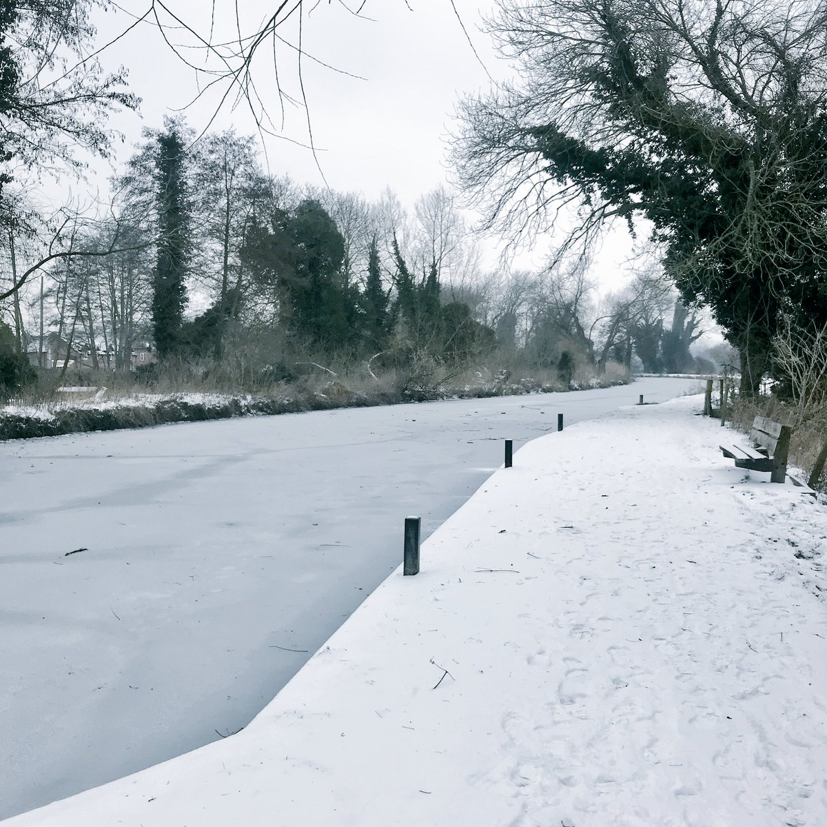 SRidleyTri's tweet photo. I’ve loved the last few days of out cruising the trails in the snow...but I’m looking forward to it clearing properly, so I can get back to my proper training plan! 🙈😂 #ukrunchat #uktrichat https://t.co/r9aP3RP5dV