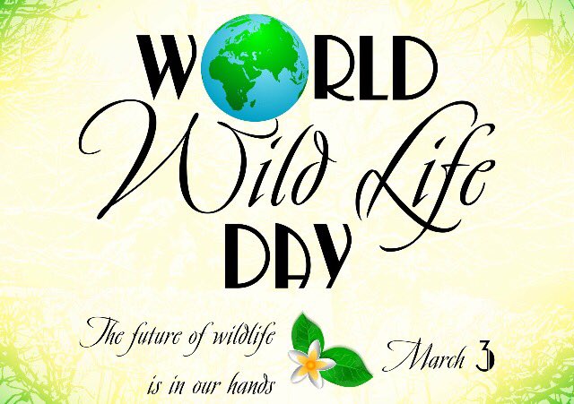 EdFest SouthWest tweet media