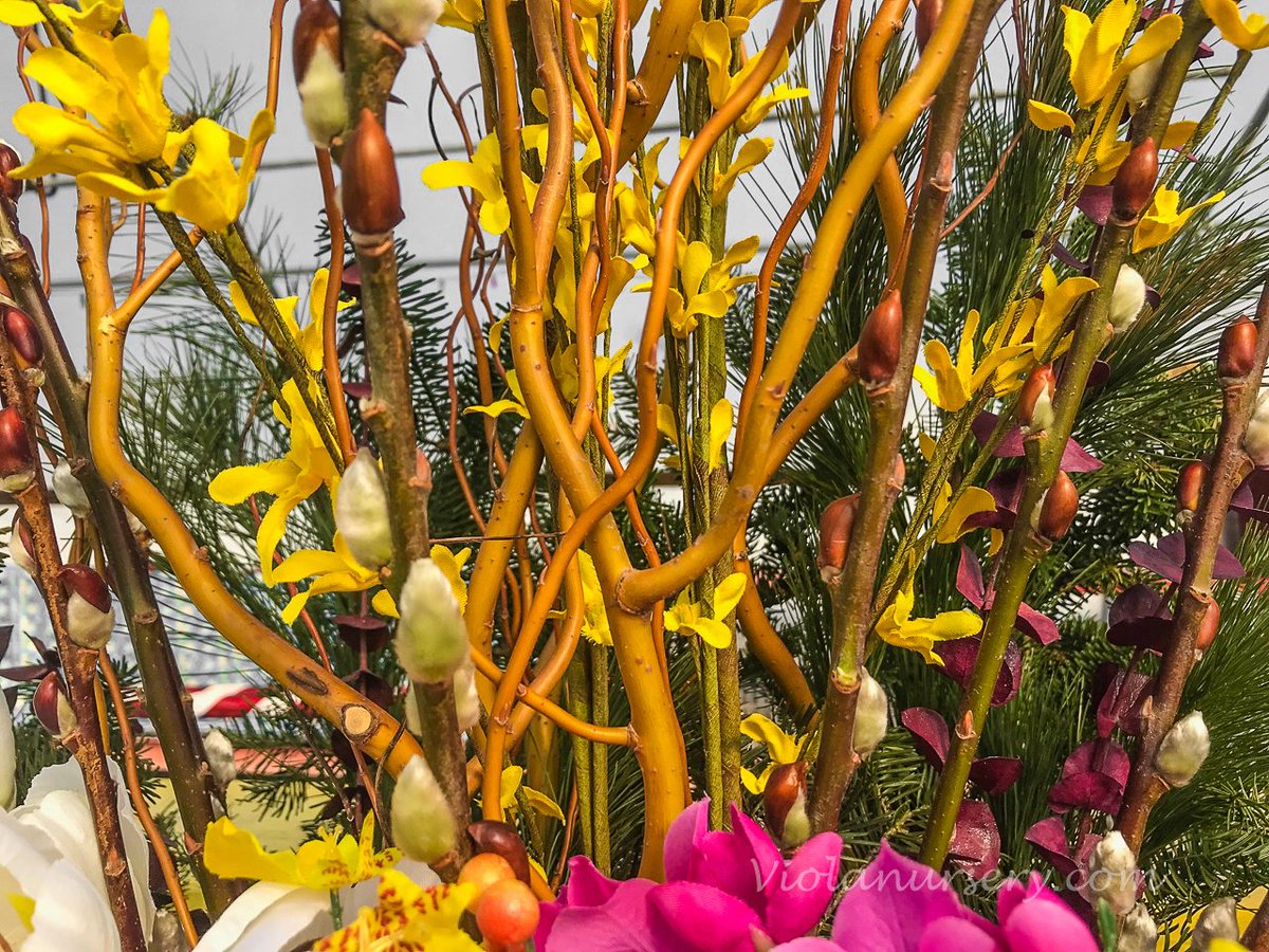 Violanursery's tweet photo. Forcing a little spring color into our March containers. #destinationviola #pussywillow #rochmn https://t.co/O4OtMt2Oou