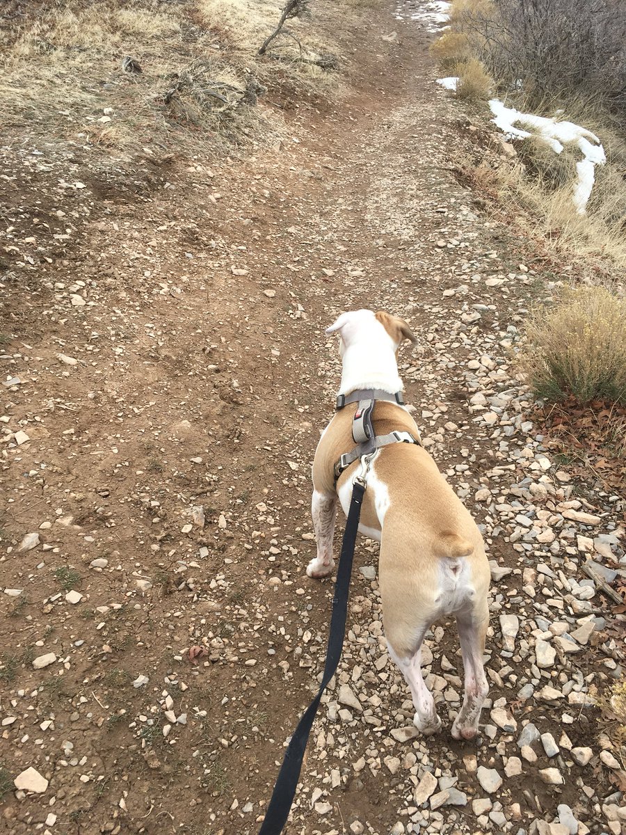 AJ_156's tweet photo. Ready to go hiking and camping this summer🤘🏻 https://t.co/9CUoQslktq