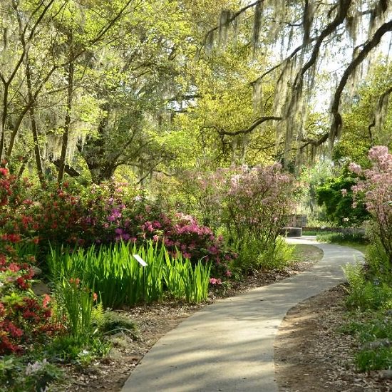 Brookgreen Gardens is a unique melding of art, nature, and history. Each season brings new exhibitions and special events that make the Gardens a #MyrtleBeach attraction that is not to be missed! Pre-purchase your tix goo.gl/ndhakd or call us at 1-855-372-1100