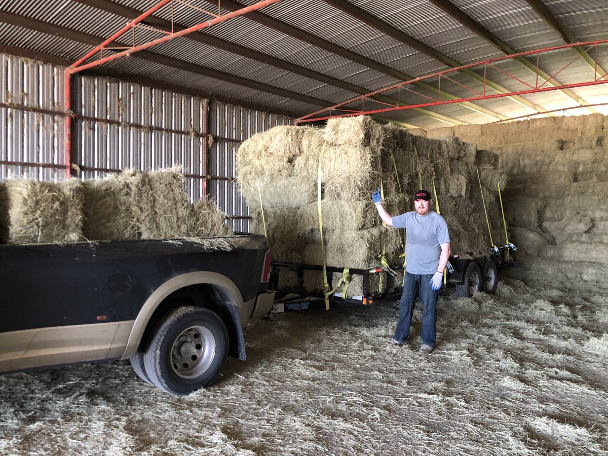 BeautyBeastStab's tweet photo. It was great weather to restock our hay supply today. 200 square bales will keep our alpacas and sheep fat and happy. Thank you to Matt’s friend Chris for all the help. We couldn’t have done it without you. #gothay #ranchlife #saturdaymorning #dodgeram3500 #soremuscles https://t.co/9tDRp5AwgO